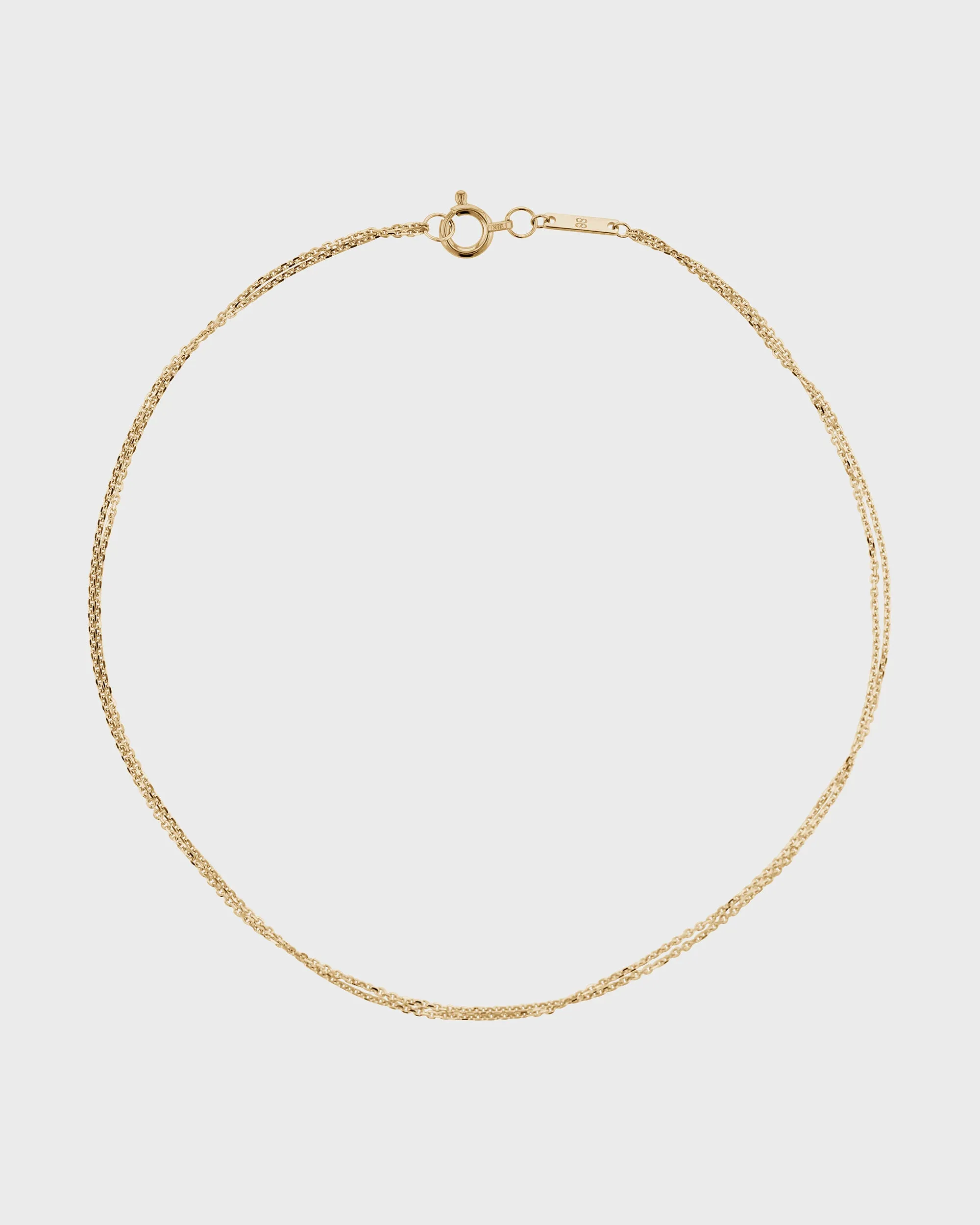 Double Chain Anklet