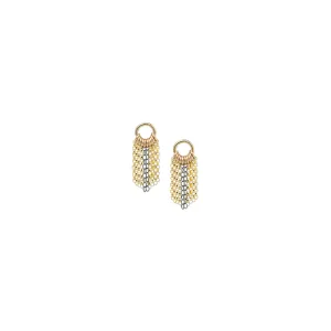 Gen Gold Earrings