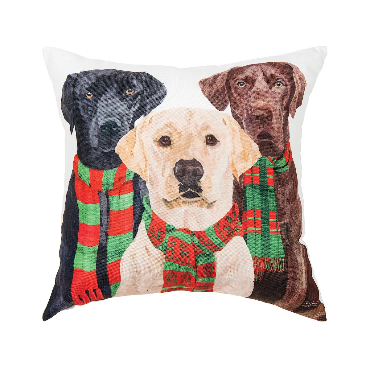 Lab Scarves Trio Pillow